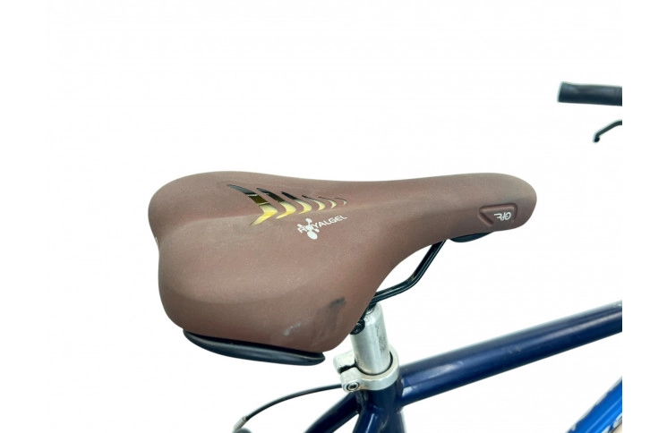 Man's bicycle Gazelle Medeo 28" 51