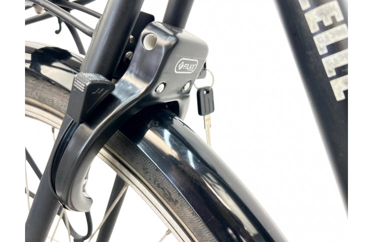 Man's bicycle Gazelle Esprit 28" XL/61