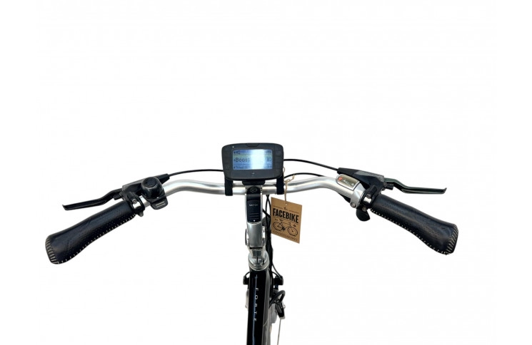 Woman's bicycle E-bike Gazelle GoldLine 28" 53cm (36V 9Ah 324Wh)