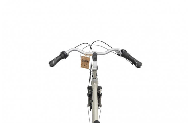 Herenfiets Gazelle Orange Plus Innergy 28"/53cm/Grijs