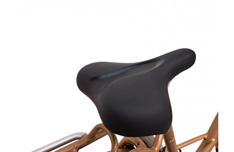 Woman's bicycle Batavus Mambo 28"/53cm/gold