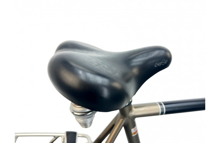 Man's bicycle Batavus Staccato 28"/65cm/Black-bronze