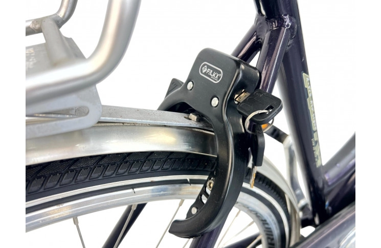 Woman's bicycle Altra Navigator w/al/28/sity/silver/50cm