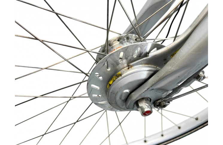 Women's bicycle Rambler 28" M/50 grey-beige