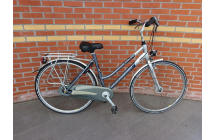 Damesfiets Trek L300