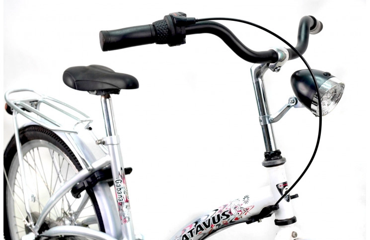 Woman`s bike Batavus Gabana