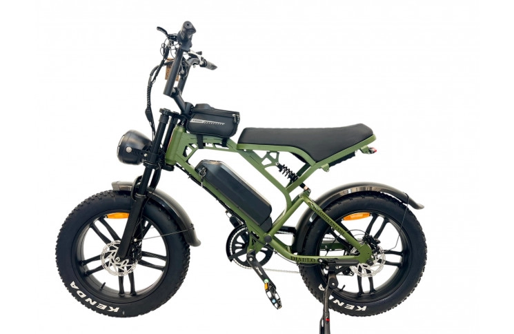 DIABLO E-BIKE, E-ONE, MATT-GREEN, 1000819 ACCU 15AH 48V 720WH