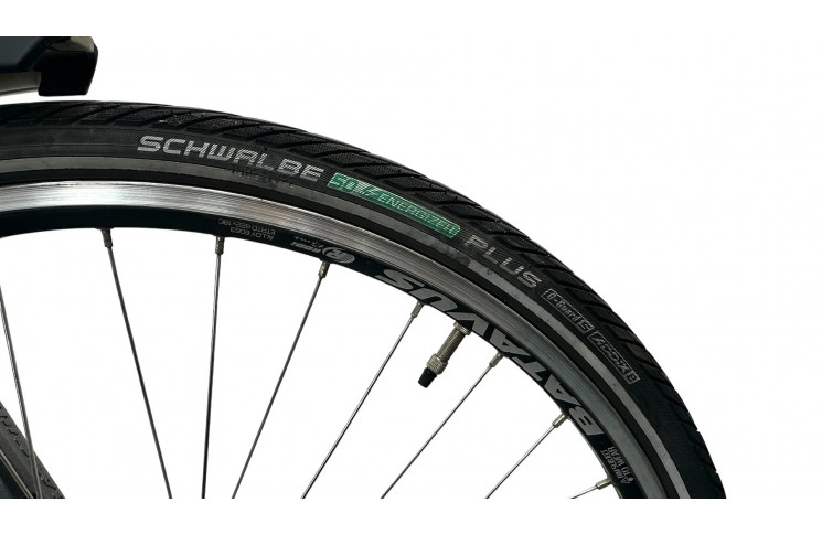 E-Bike Batavus Wayz 28"/53cm/grey/36V 14.5Ah 522Wh