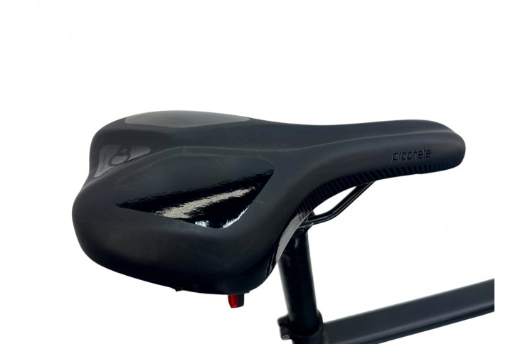 E-Bike 28" Prophete Urbanicer City, 55 cm