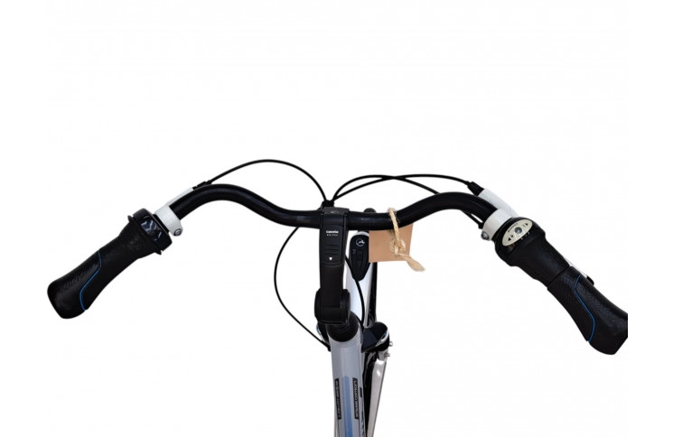 Damesfiets Gazelle Eclipse 28"/58cm/grijs