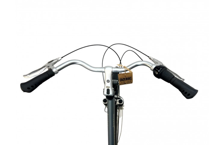 Women's bicycle Batavus Boston 28" 53 gray