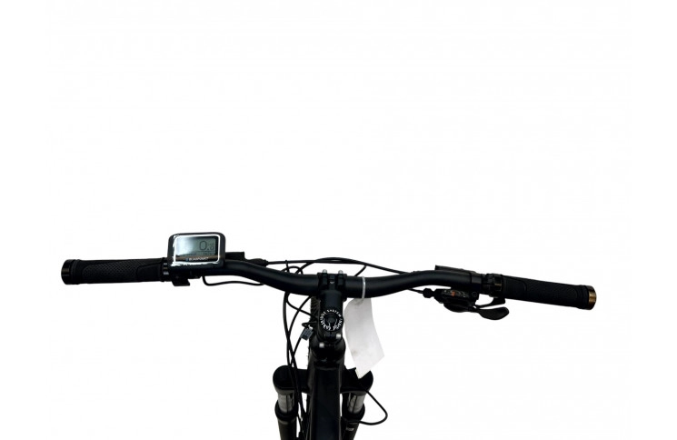 E-Bike PROPHETE GRAVELER E-MTB, 29"/48см/36V 10.4Ah 374Wh