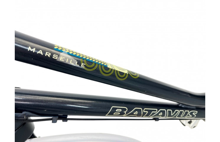 Women's bicycle Batavus Marseille 28" 53 black
