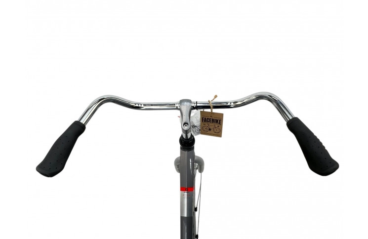 Woman's bicycle Giant Cosmo 28" 50cm