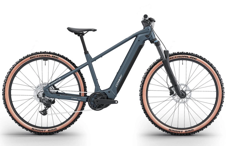 CONWAY Elektrische MTB Hardtail Cairon S 2.0 600 №1 29"/53cm-XL/9/antraciet mat/02811059