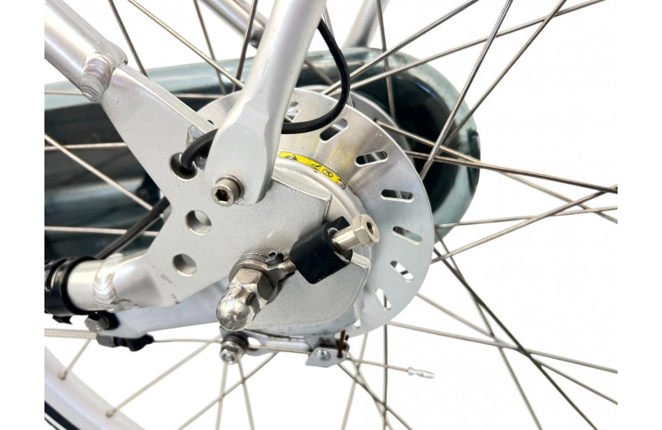 Woman's bicycle Sparta IONBX D/al/grijs/28/stad/f48cm