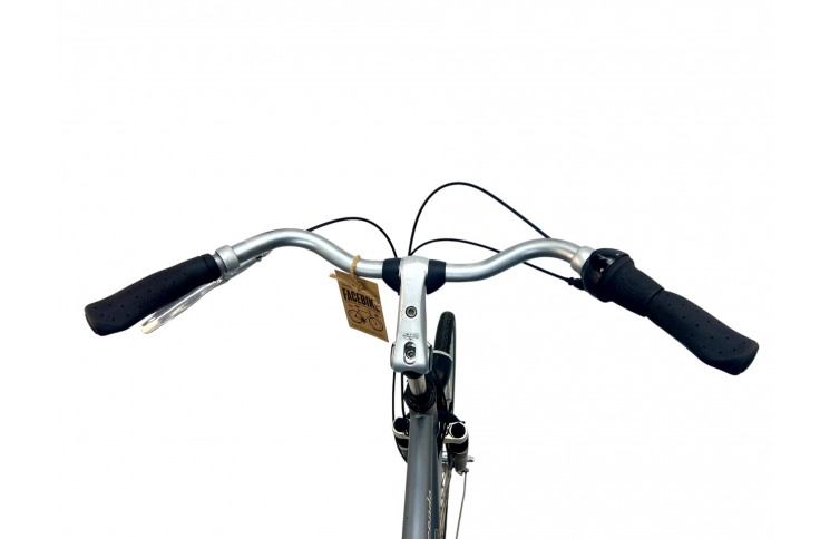 Man's bicycle Batavus Crescendo 28"/61cm/blue