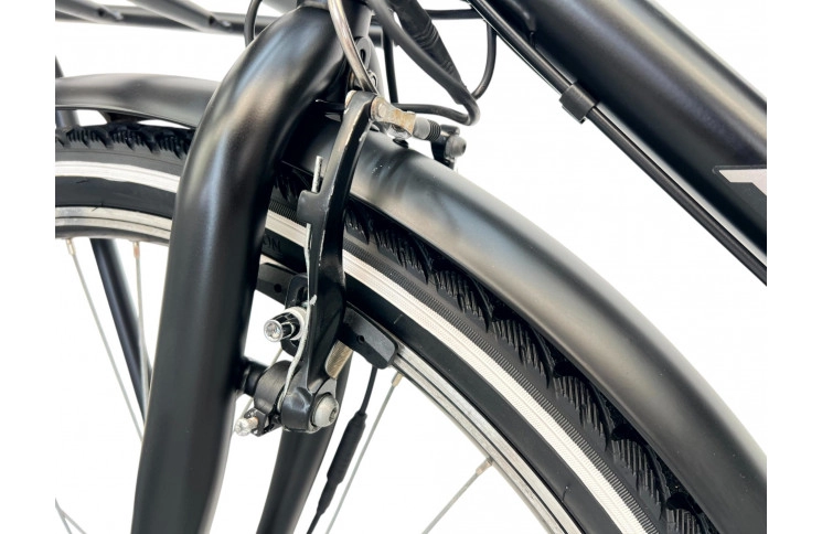 Damesfiets E-bike Amigo E-strog 28"/52cm/zwart/(36V 12.8Ah 460.8Wh)