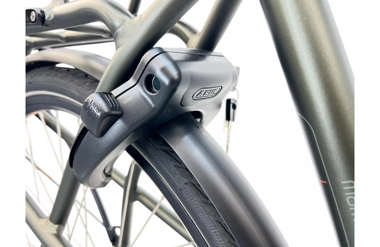 Man's bicycle Batavus Mambo 28"/57cm/green