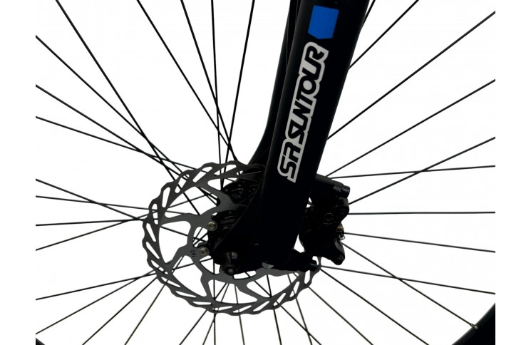 E-Bike PROPHETE GRAVELER E-MTB, 29"/48см/36V 10.4Ah 374Wh