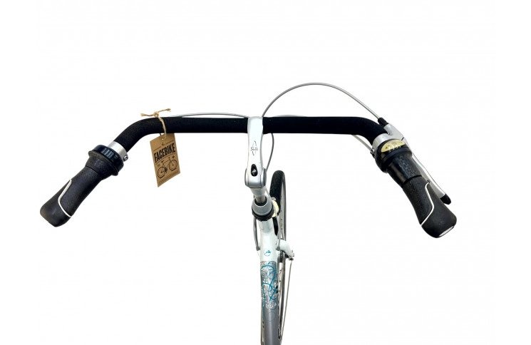 Woman's bicycle Gazelle Bloom 28"/61cm/gray-white