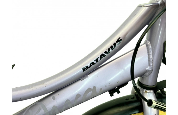 Girls bicycle Batavus Diva M/al/viol/24/tranp/f39