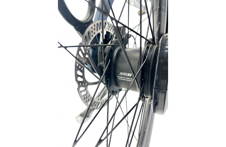 City e-bike VanDijck Freya L M300, 36V18.2Ah 655 Wh, 56, grey-blue