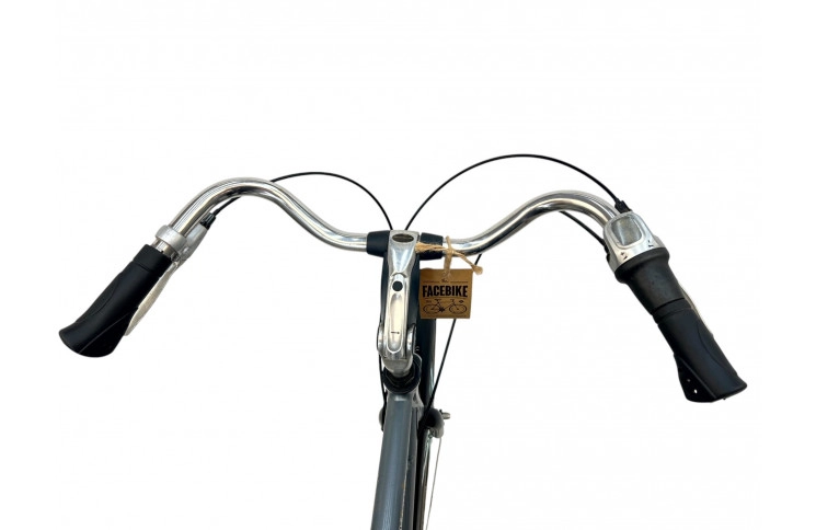 Men's bicycle Batavus Vienna 28" 66 cm gray