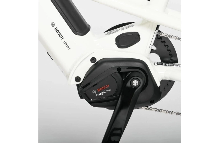 Compact Yuba mini Boda Boda 20" Beige 2025