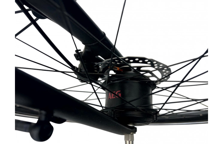 E-Bike 28" Prophete Urbanicer City, 55 cm