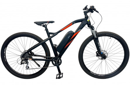 E-Bike PROPHETE GRAVELER E-MTB, 29"/48см/36V 10.4Ah 374Wh