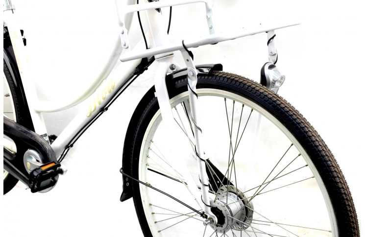 Woman`s bike Batavus Diva