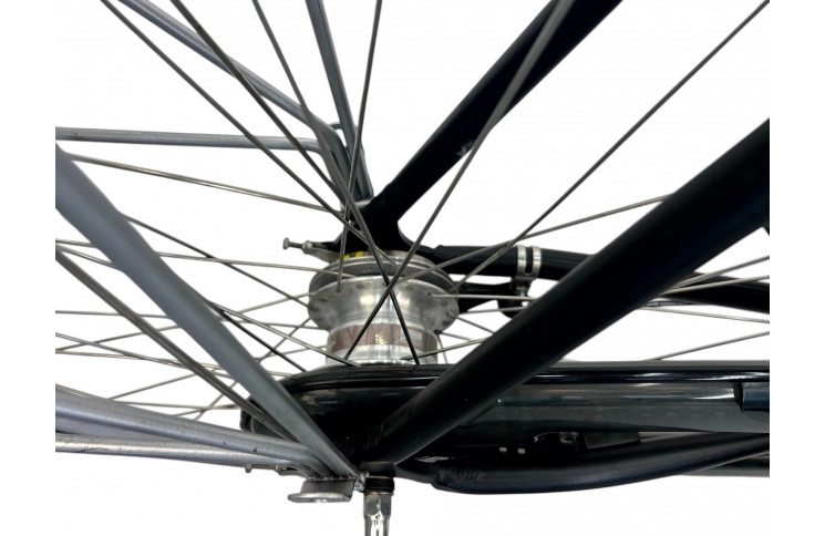 Man's bicycle Batavus Allegro 28" XL/61