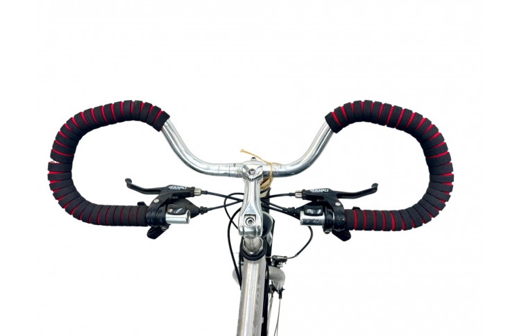 Woman's bicycle Intersens TS 401 28" 50