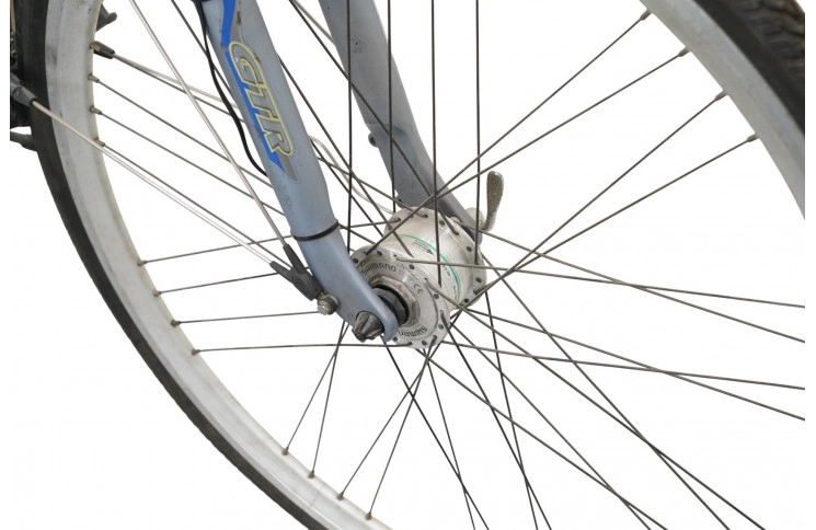 Woman's bicycle RiH Z-900 28"/54cm/Gray