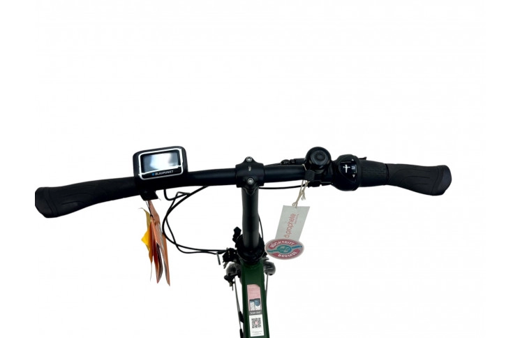 City e-bike 20" Prophete Urbanicer 22.ESU.10, 30, green