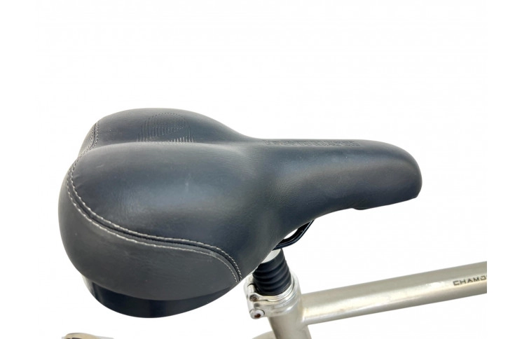 Man's bicycle Gazelle Chamonix 28"/65cm/blue