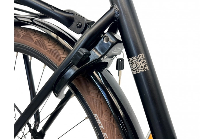 Damesfiets Facebike NL Cargo 28" S/50