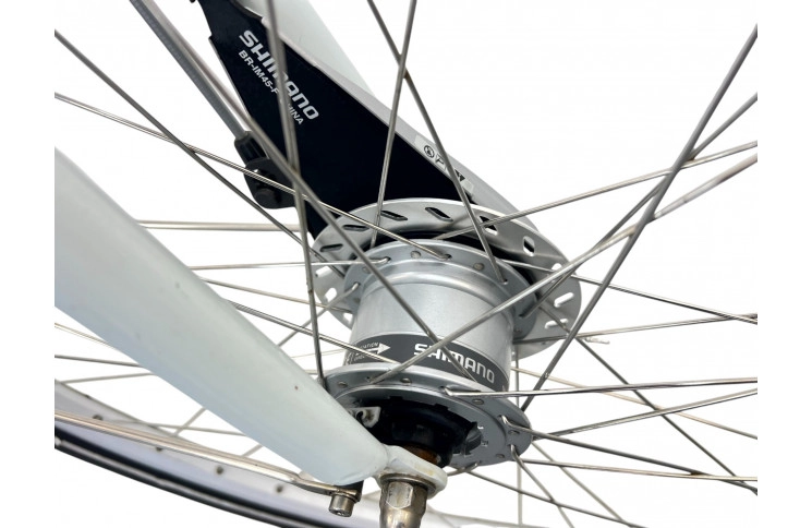 Woman's bicycle Gazelle Bloom 28"/61cm/gray-white