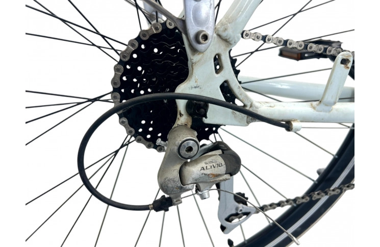 Man's bicycle Gazelle Murcia 28" 57