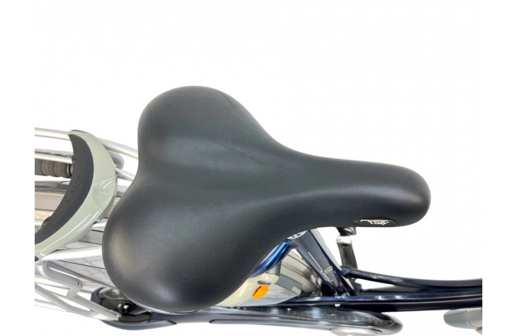 Woman's bicycle Gazelle Davos w/al/blue/28/sity/f50cm