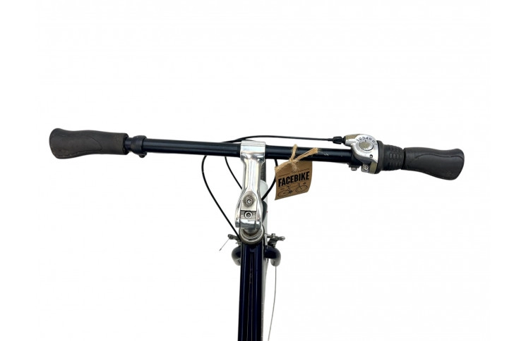 Woman's bicycle Giant Freetime 28" 54cm