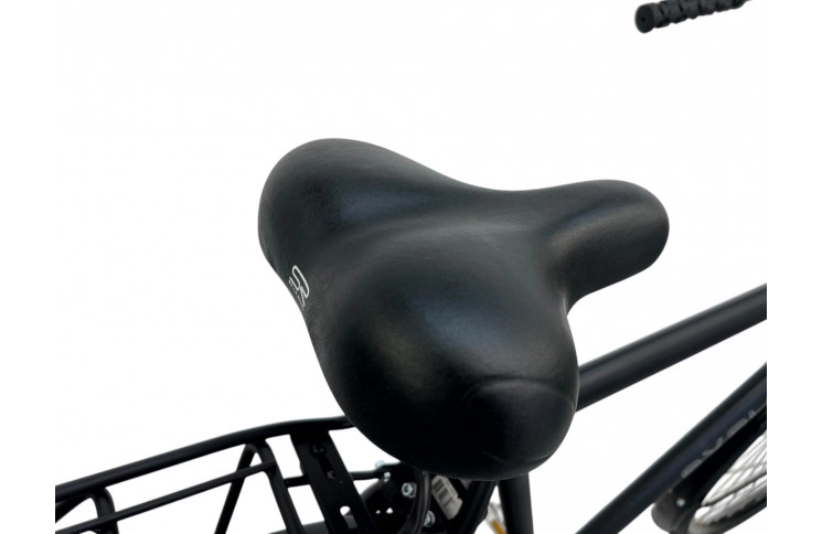 Herenfiets Avalon 28" L/57 mat zwart