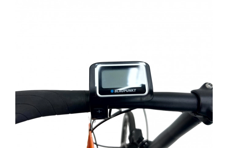 City e-bike 20" Prophete Urbanicer 22.ESU.10, 30, green