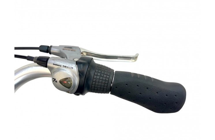 Man's bicycle Gazelle Davos 28" L/57