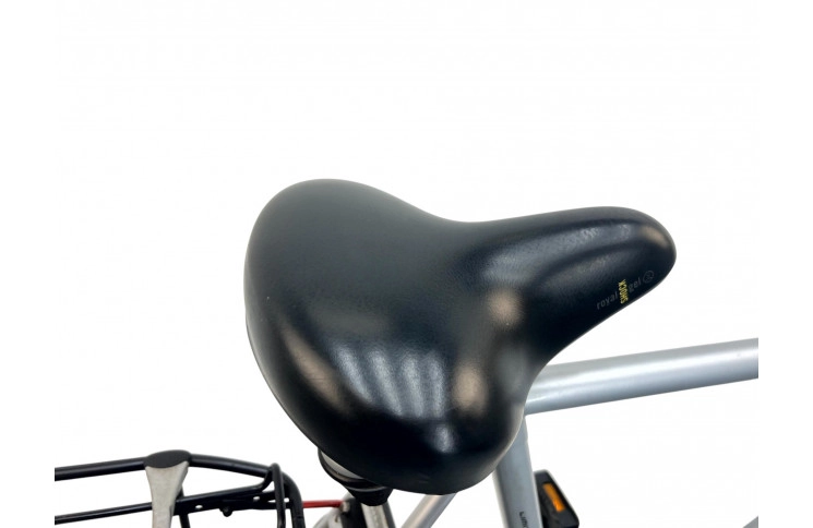 Man's bicycle Gazelle Swing 28"/61cm/gray