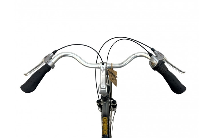 Man's bicycle Gazelle Davos 28" L/57