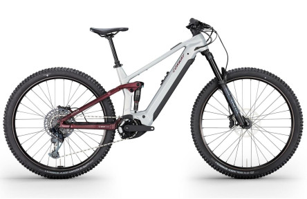 CONWAY Elektrische MTB Full-Suspension Xyron ST 6.0 №1 29"/39cm-S/12/alu raw mat - pruim mat/02810168