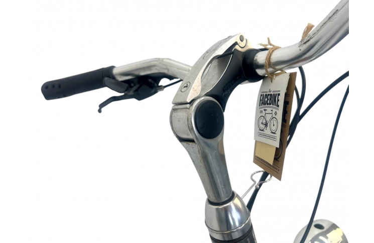 Woman's bicycle Gazelle Medeo 28" 53