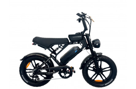 DIABLO E-BIKE, E-ONE,  7DR SHIMANO 1000819 ACCU  (15AH,48V,720WH)